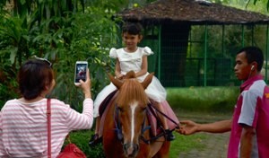 Pengunjung Kebun Binatang Taman Rimba